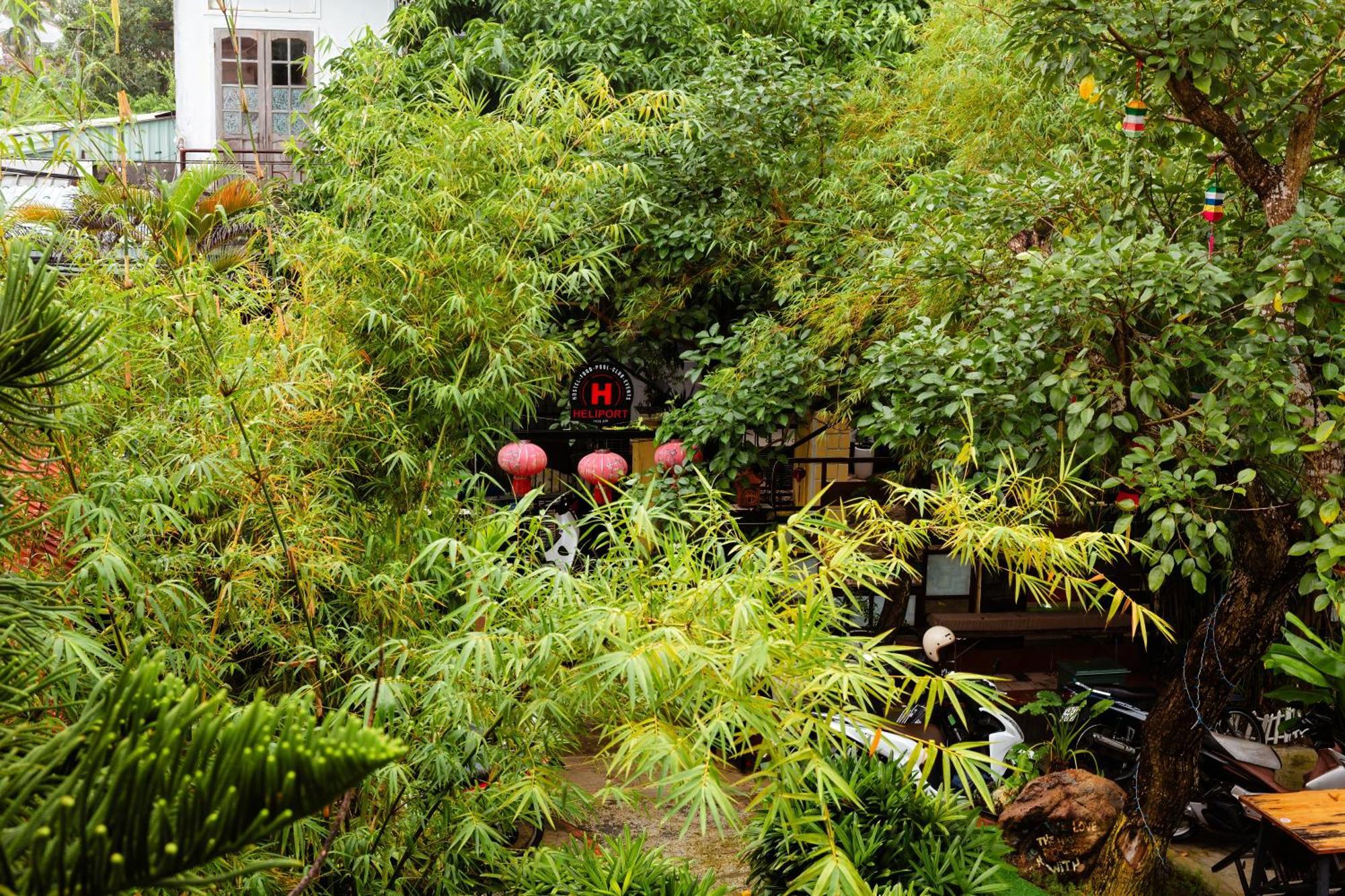 Serendipity Experience Hoi An Old Town エクステリア 写真