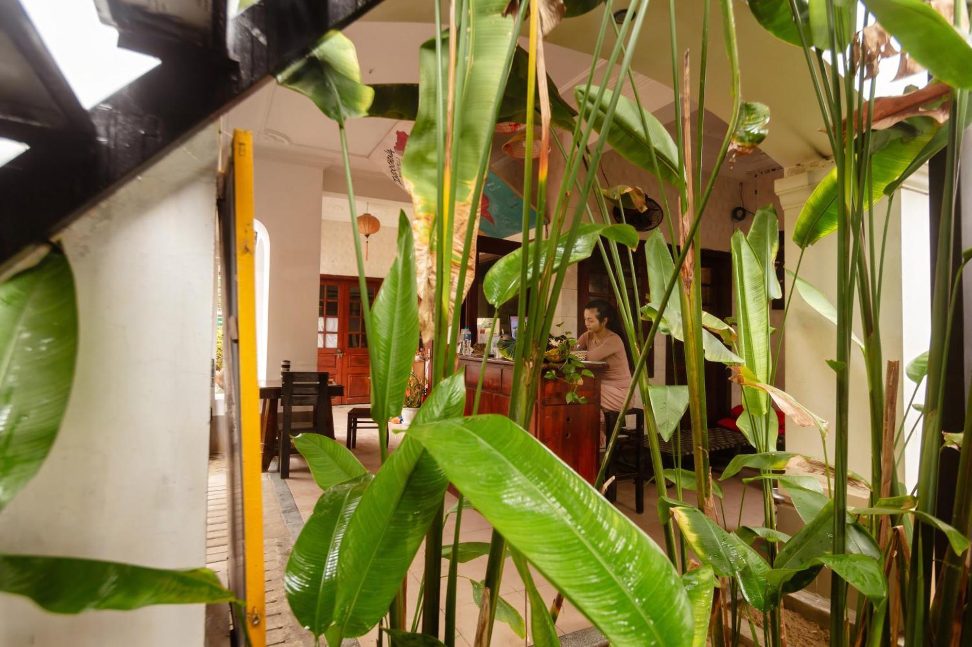 Serendipity Experience Hoi An Old Town エクステリア 写真