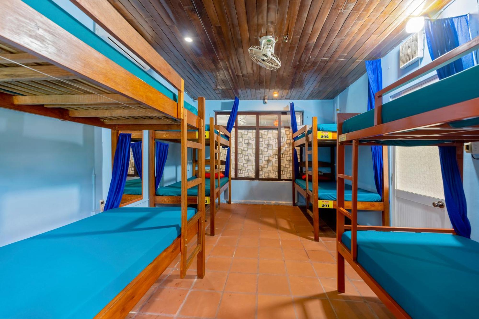 Serendipity Experience Hoi An Old Town エクステリア 写真